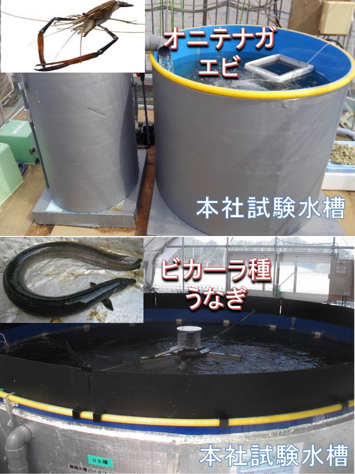 陸上養殖｜株式会社アクアテックジャパン